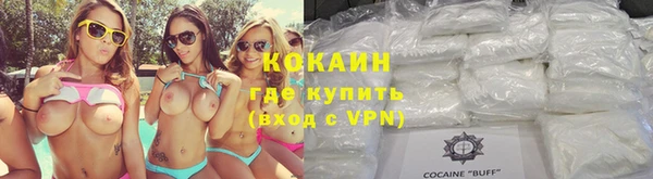 mdpv Бородино