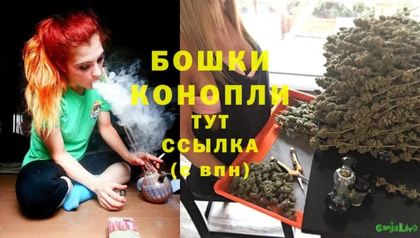 трава Бронницы