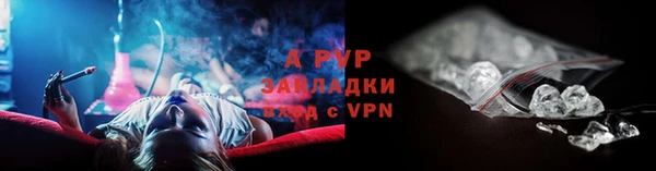 mdpv Бородино