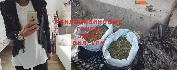 mdpv Бородино