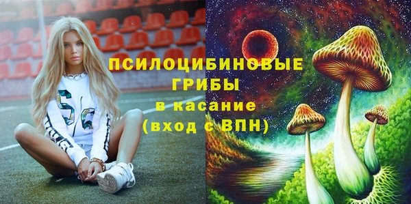 гидропоника Верхнеуральск
