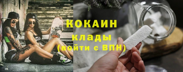 mdpv Бородино
